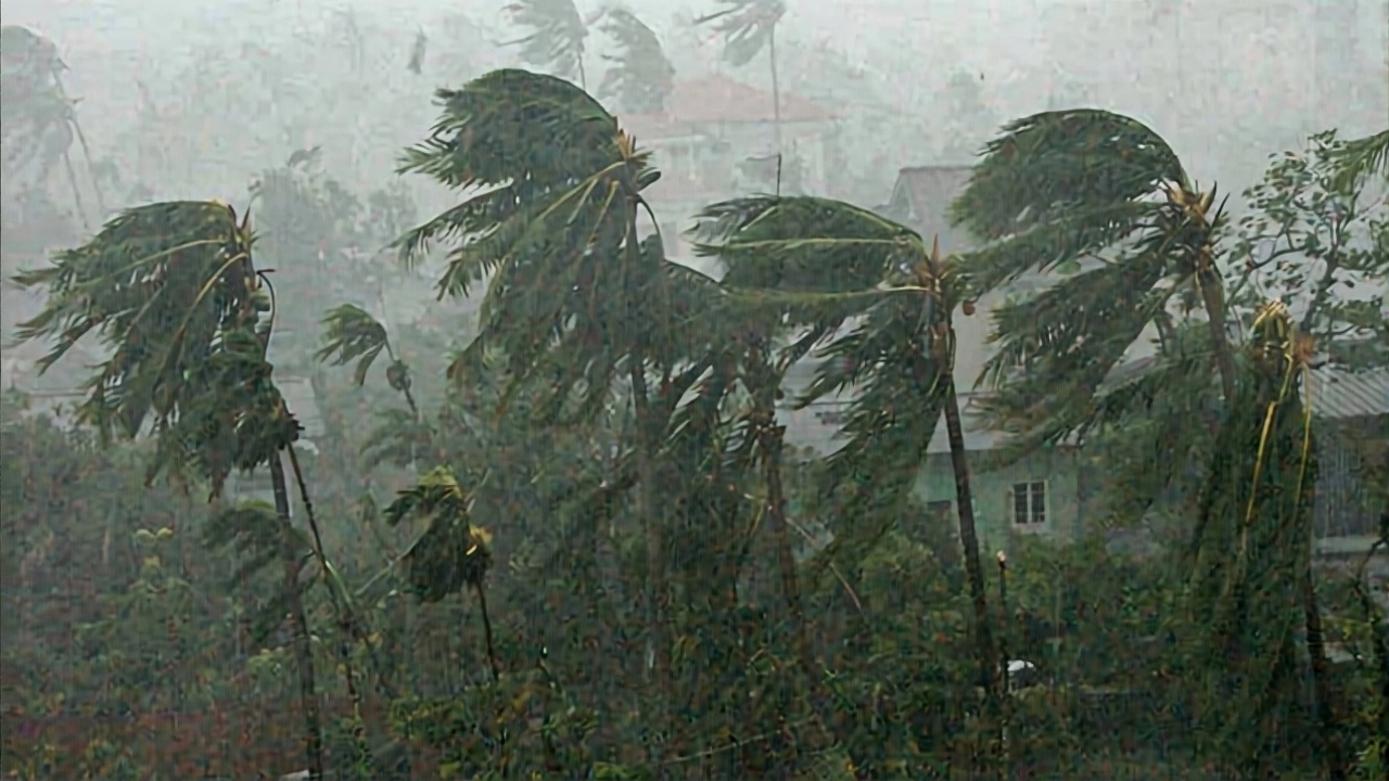 What the Numbers Don’t Tell You